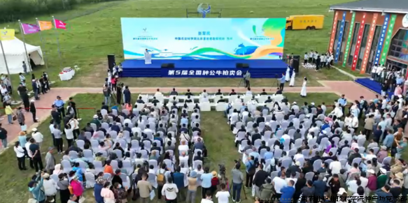 拍卖会现场（一）.png