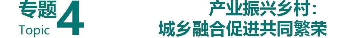 专题4图片