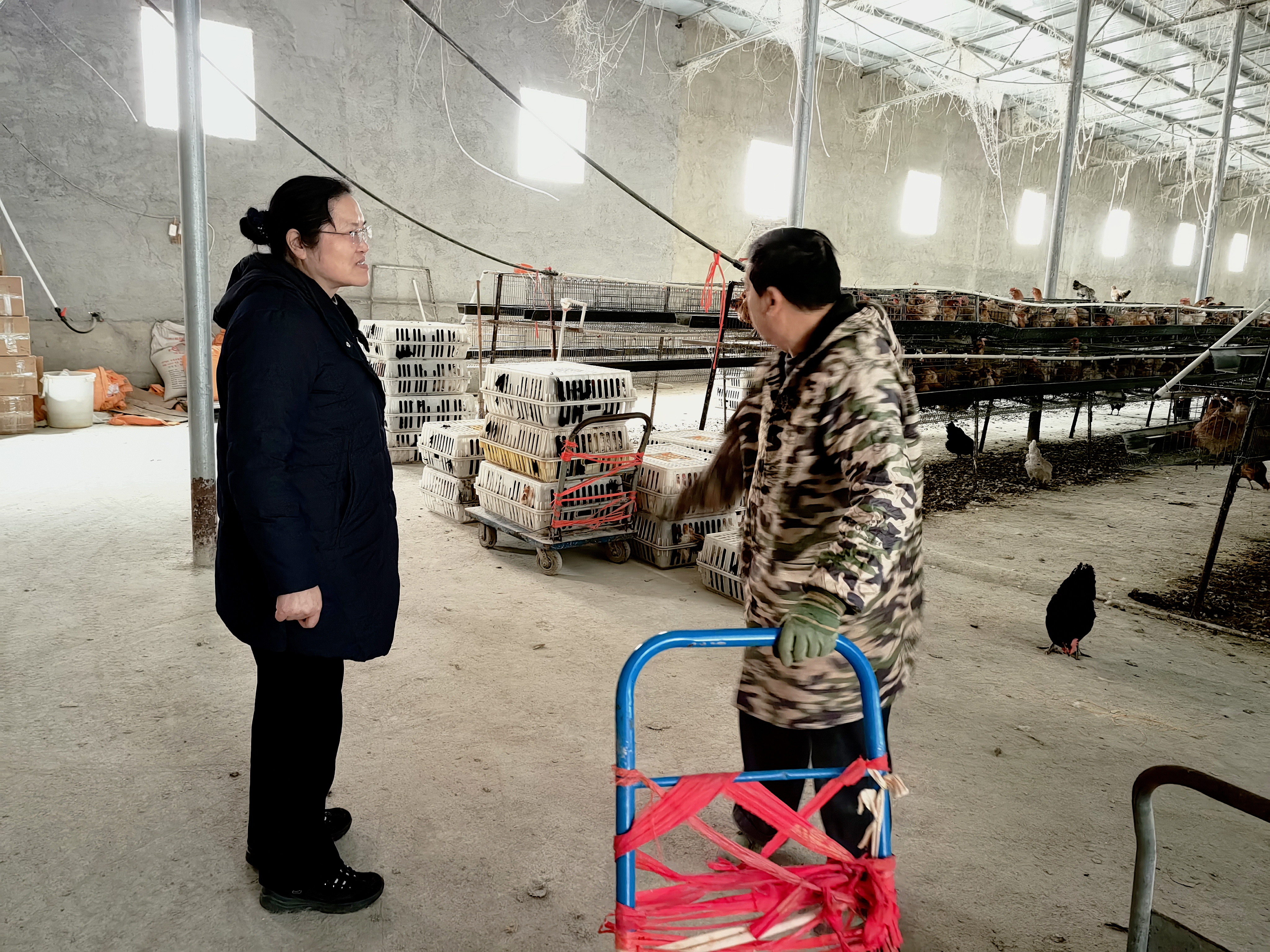 微信图片_20250213130125