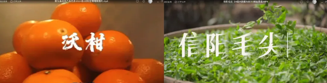茶照片